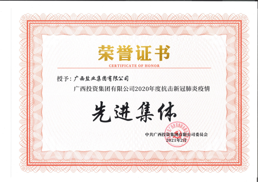 廣西投資集團2020年度抗擊新冠肺炎疫情先進單位